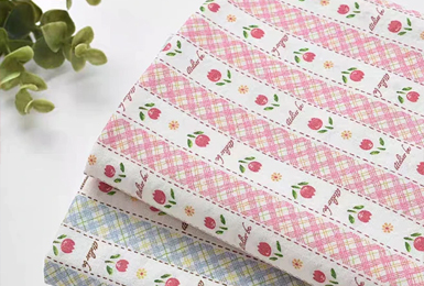 蒸化機的（de）發展（zhǎn）曆程